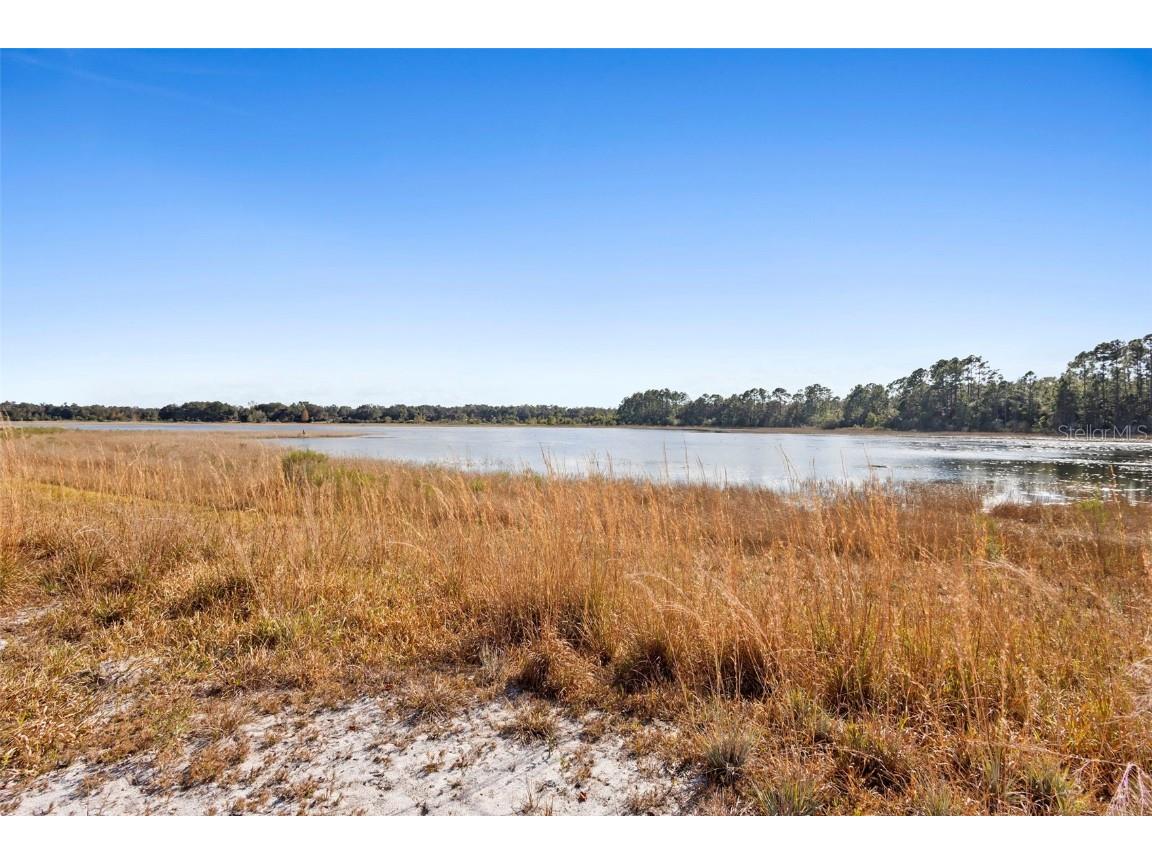 TBD SE 256th Avenue Umatilla FL 32784 OM715016 image4