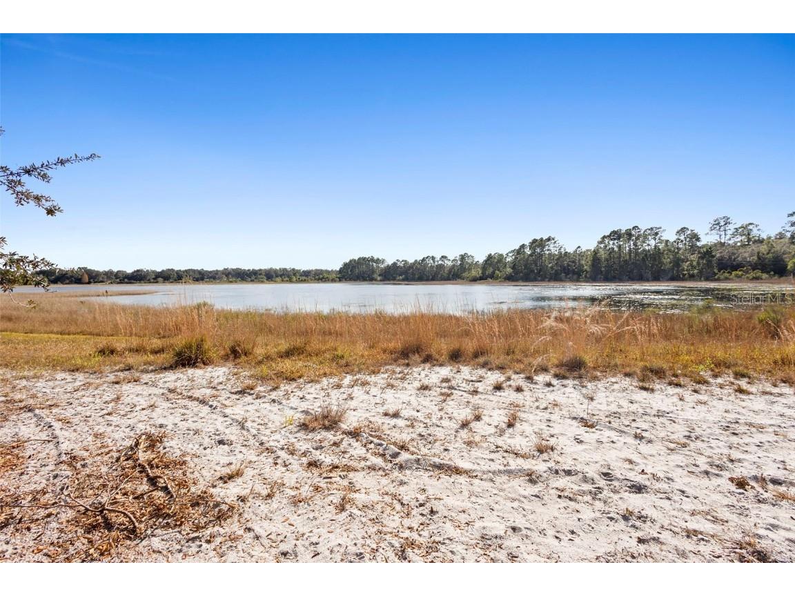 TBD SE 256th Avenue Umatilla FL 32784 OM715016 image5