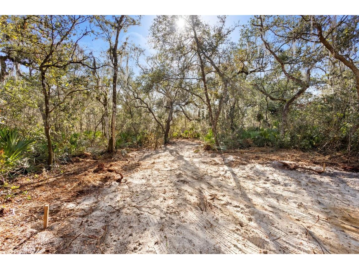 TBD SE 256th Avenue Umatilla FL 32784 OM715016 image6