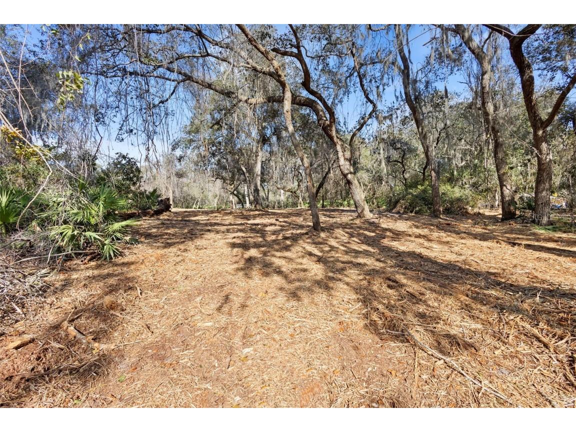 TBD SE 256th Avenue Umatilla FL 32784 OM715016 image7