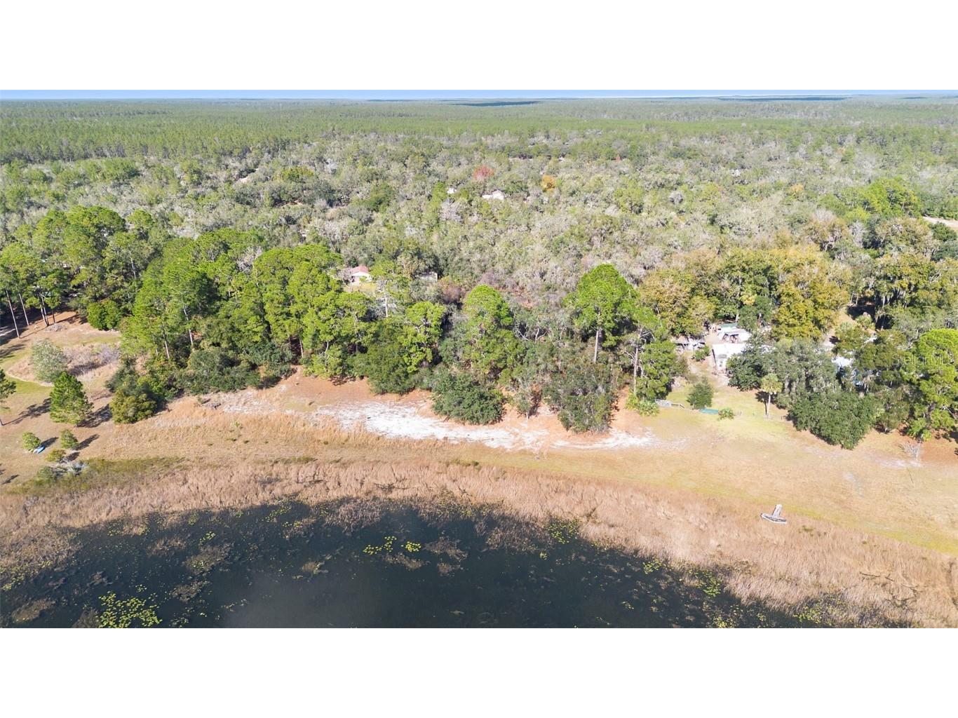 TBD SE 256th Avenue Umatilla FL 32784 OM715016 image8