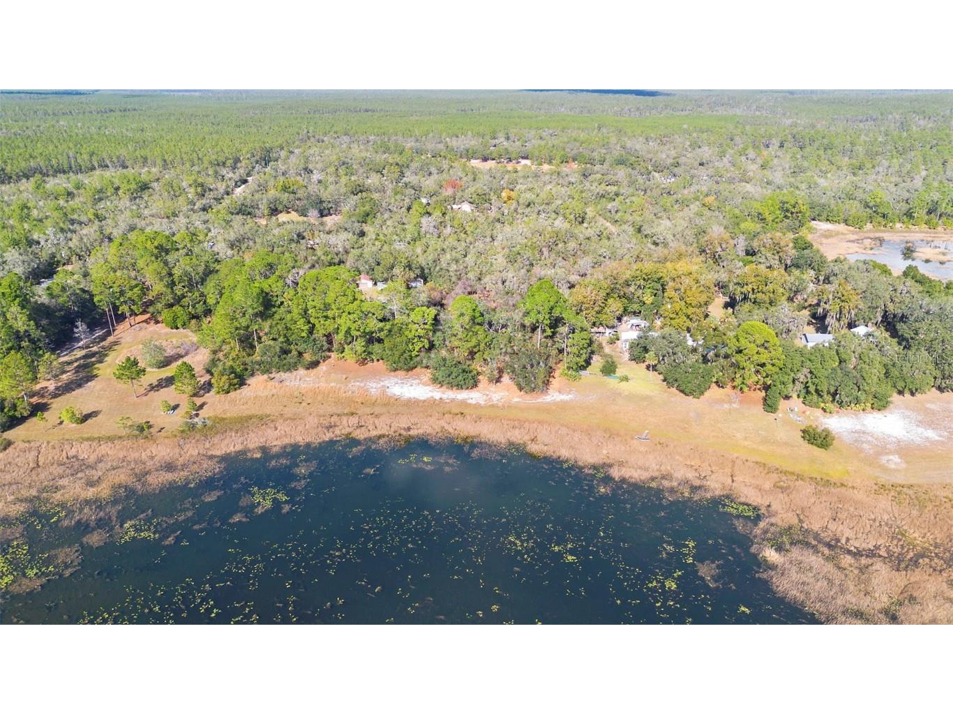 TBD SE 256th Avenue Umatilla FL 32784 OM715016 image9