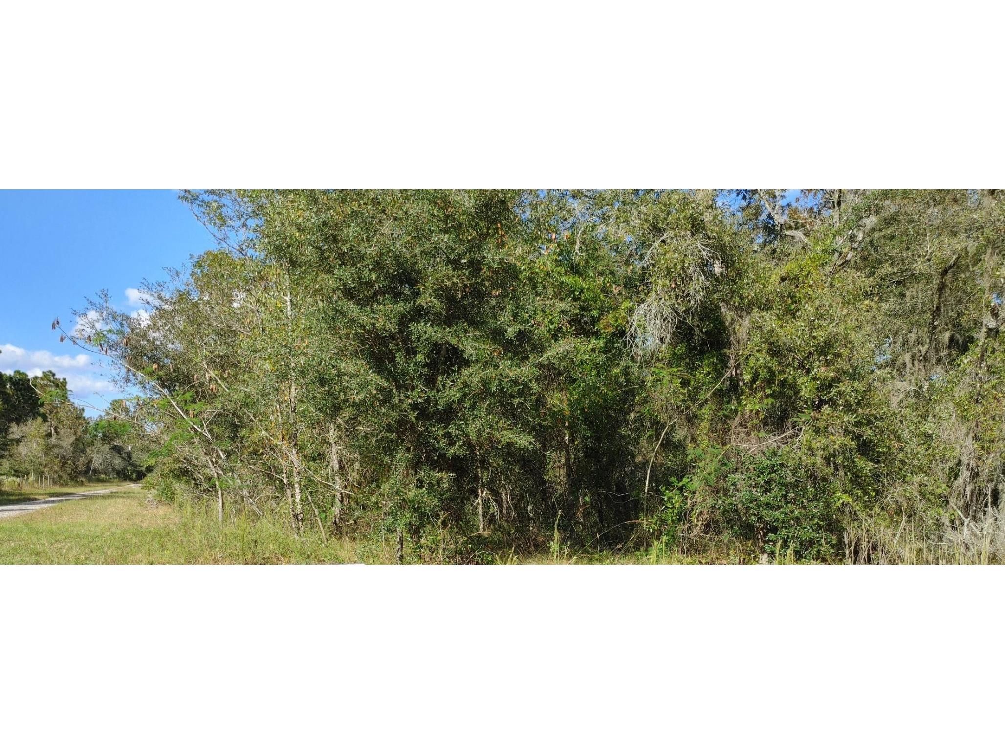 TBD SE 25th St Lot 7 Morriston FL 32668 OM628895 image1