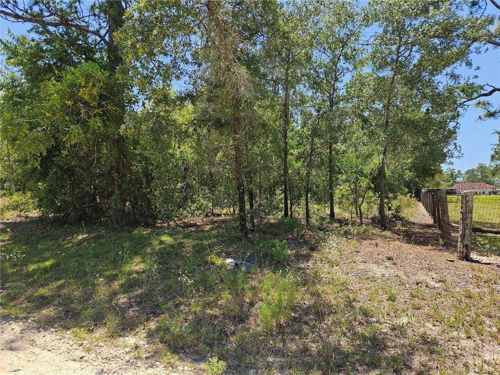 TBD SE 25th Street Morriston FL 32668 OM702217 image1