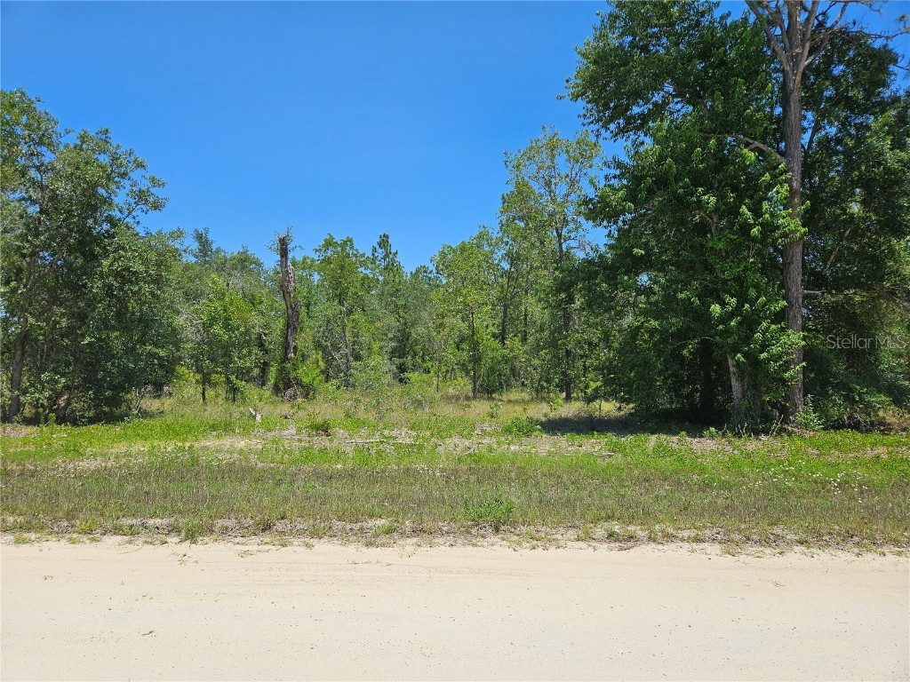 TBD SE 26th Street Morriston FL 32668 OM702275 image1