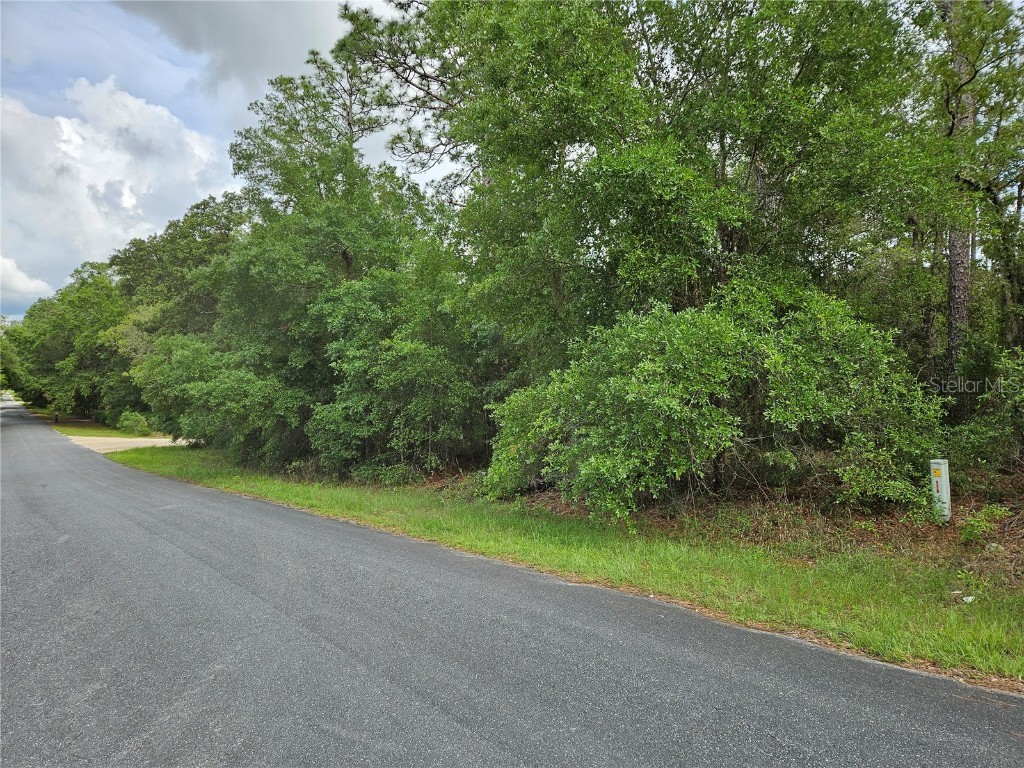 TBD SE 28th Street Morriston FL 32668 OM701440 image1