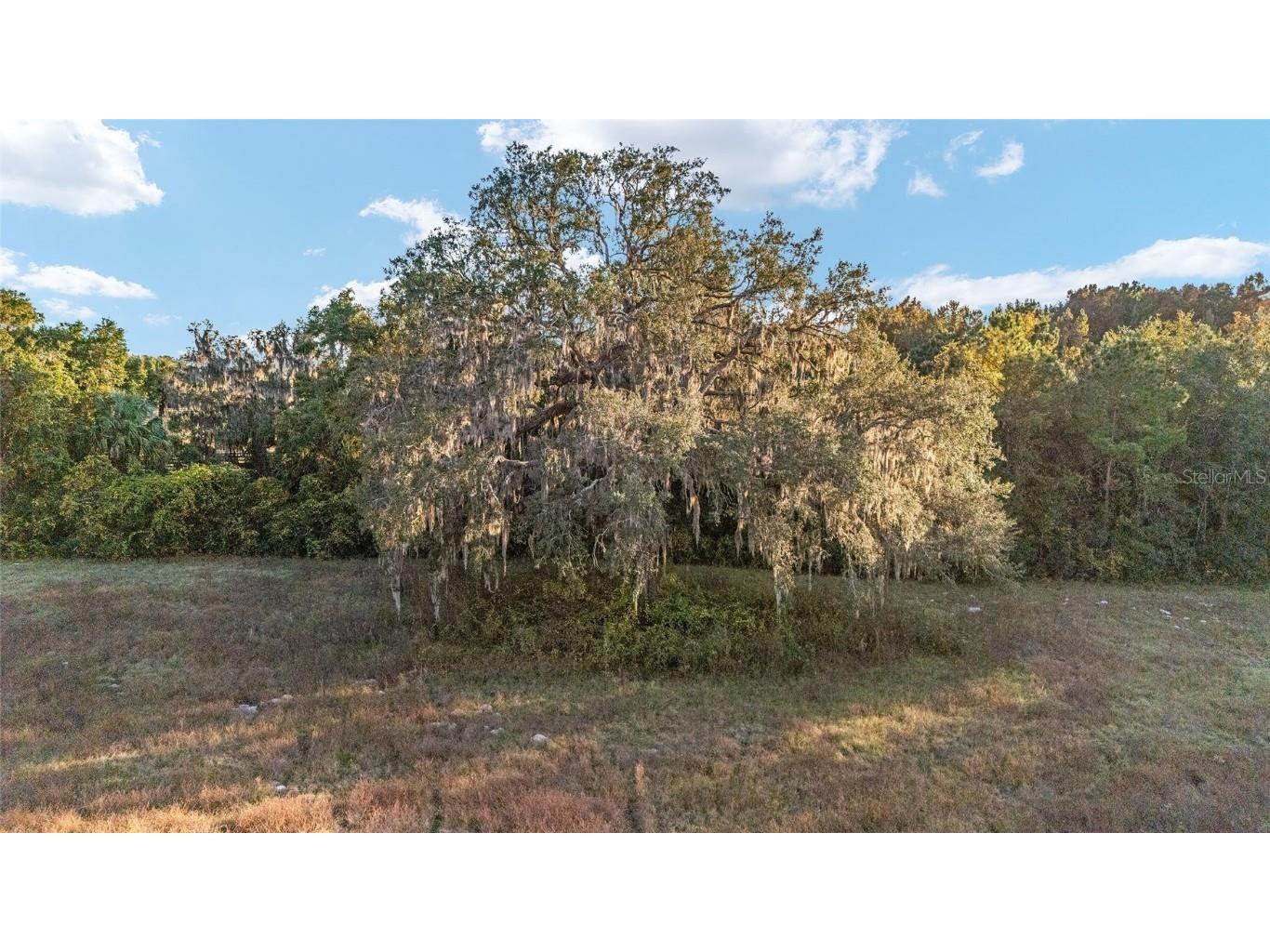TBD SE 28th Terrace Road Ocala FL 34480 OM713923 image14