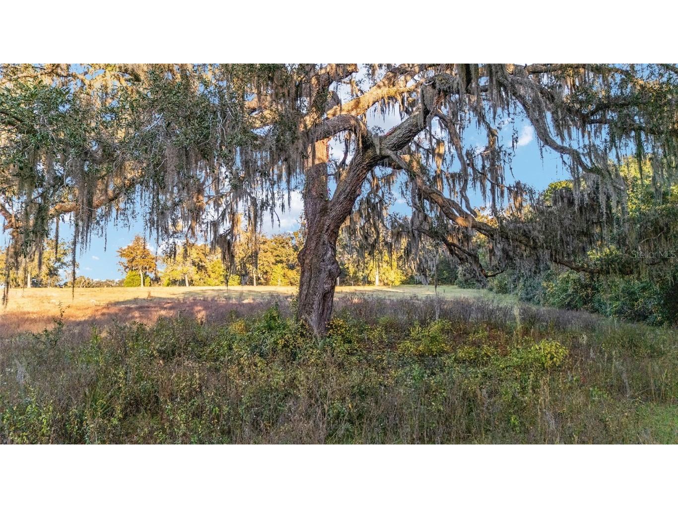 TBD SE 28th Terrace Road Ocala FL 34480 OM713923 image15