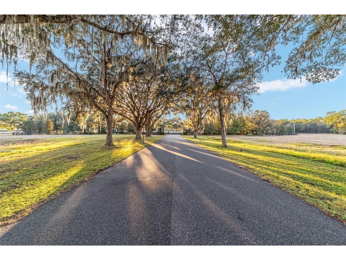 TBD SE 28th Terrace Road Ocala FL 34480 OM713923 image20
