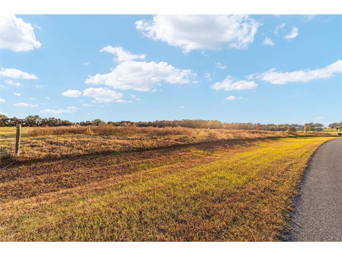 TBD SE 28th Terrace Road Ocala FL 34480 OM713923 image5