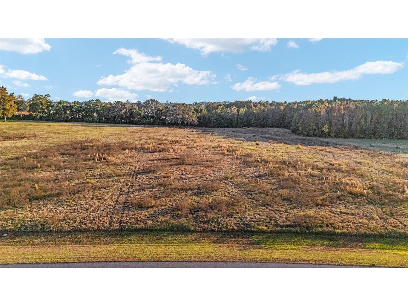 TBD SE 28th Terrace Road Ocala FL 34480 OM713923 image7