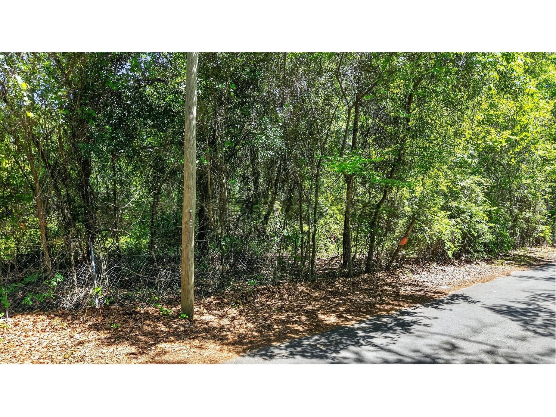 TBD Se 2nd Avenue Gainesville FL 32641 G5111831 image4