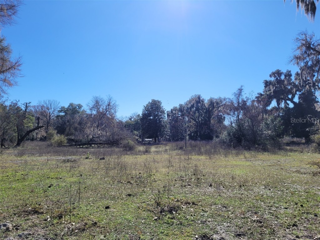 TBD SE 30th Avenue Summerfield FL 34491 O6142907 image1