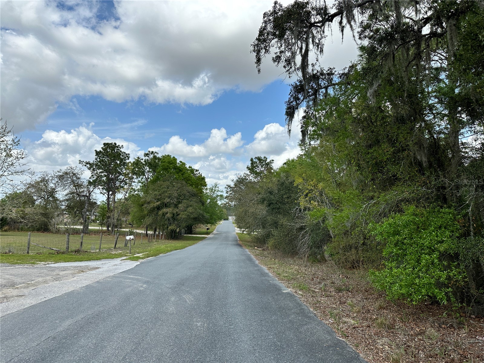 TBD SE 30th Street Morriston FL 32668 OM720263 image1