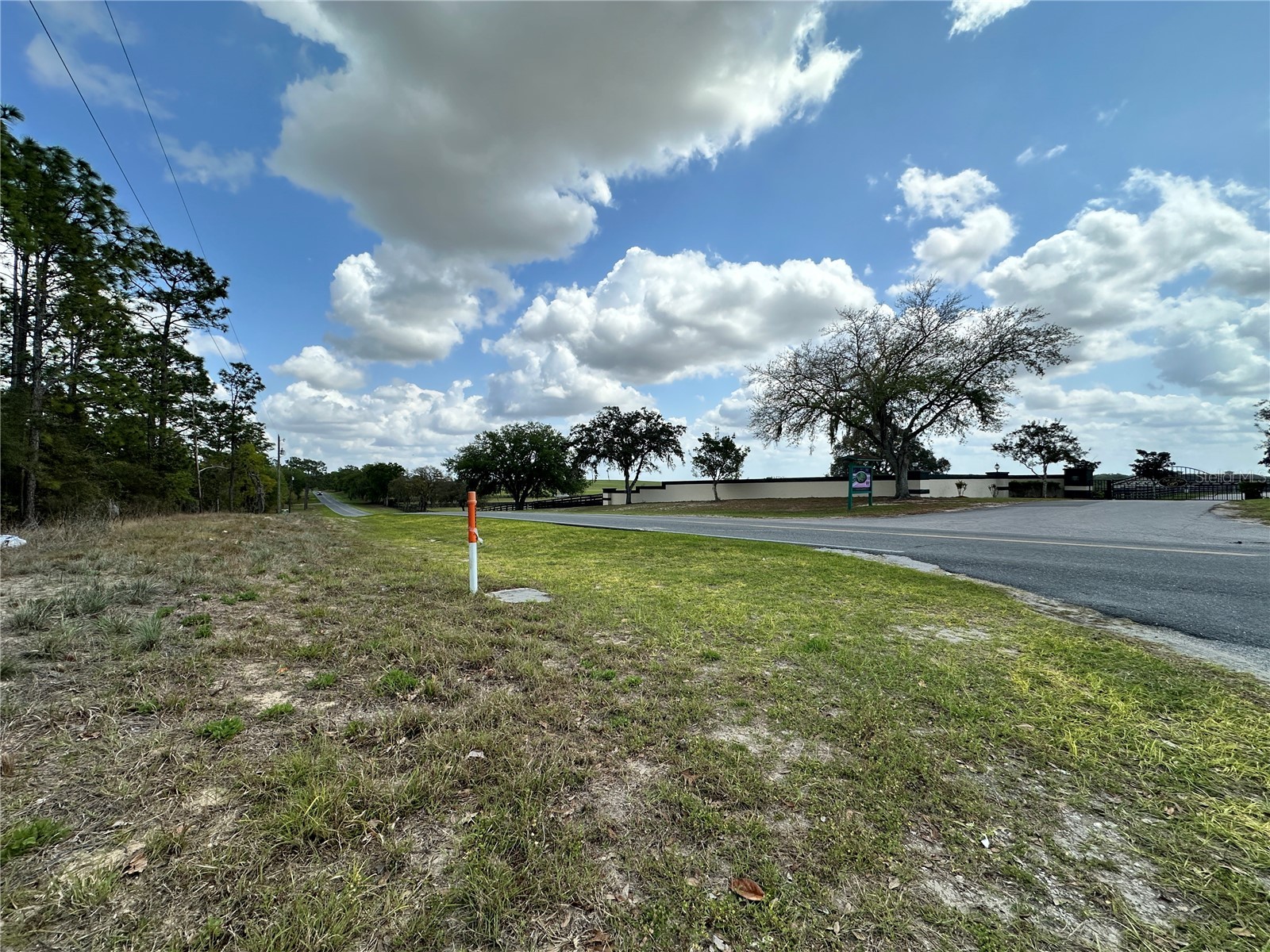 TBD SE 30th Street Morriston FL 32668 OM720263 image2