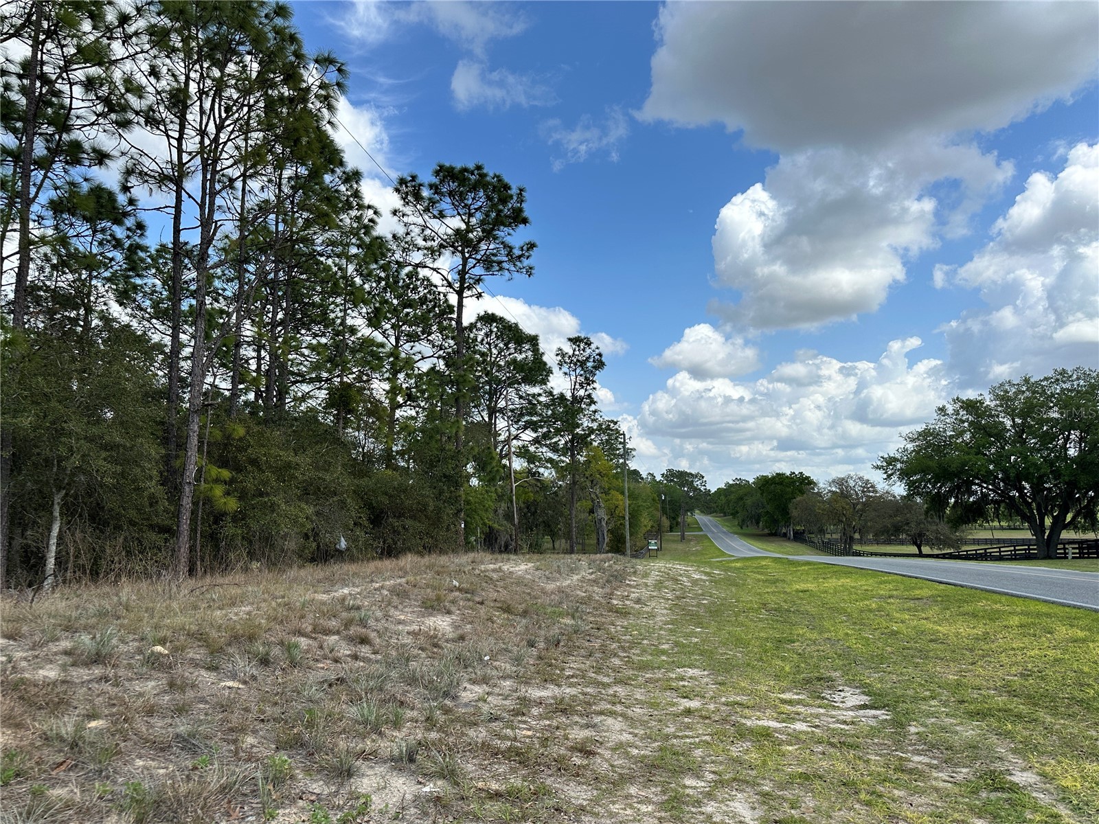 TBD SE 30th Street Morriston FL 32668 OM720263 image3