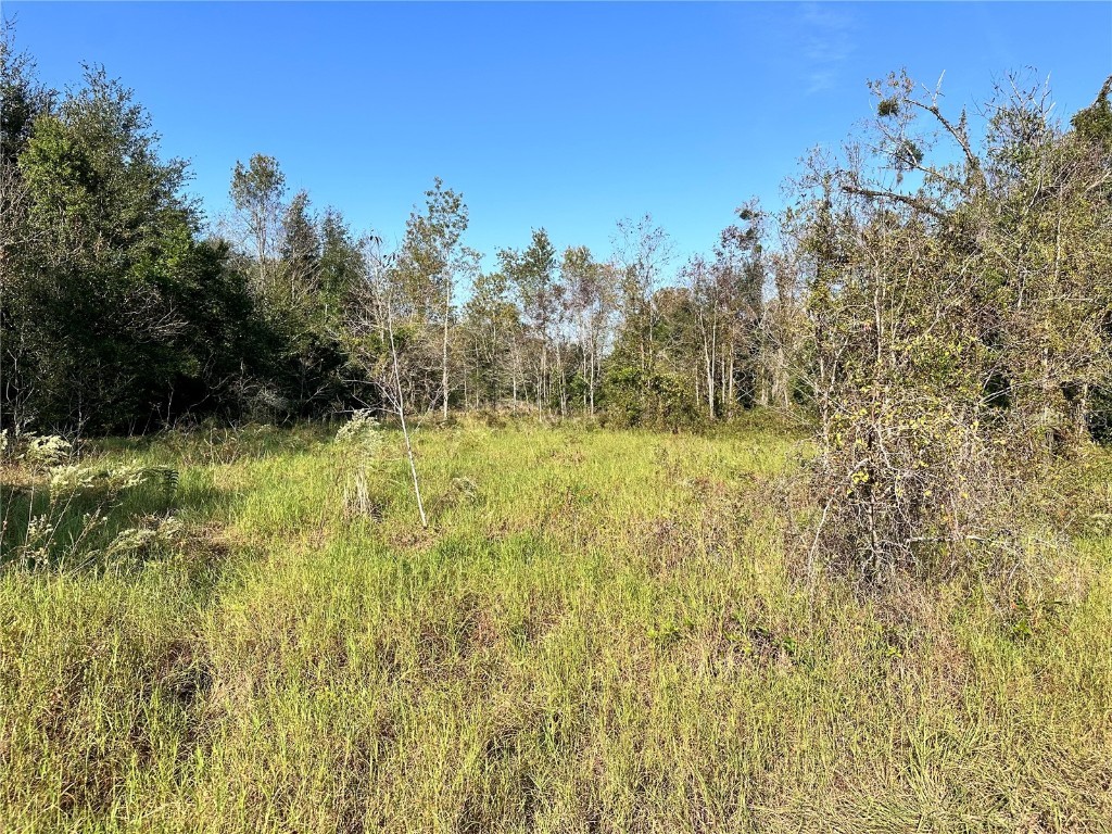 TBD SE 33rd Terrace Summerfield FL 34491 OM688582 image1