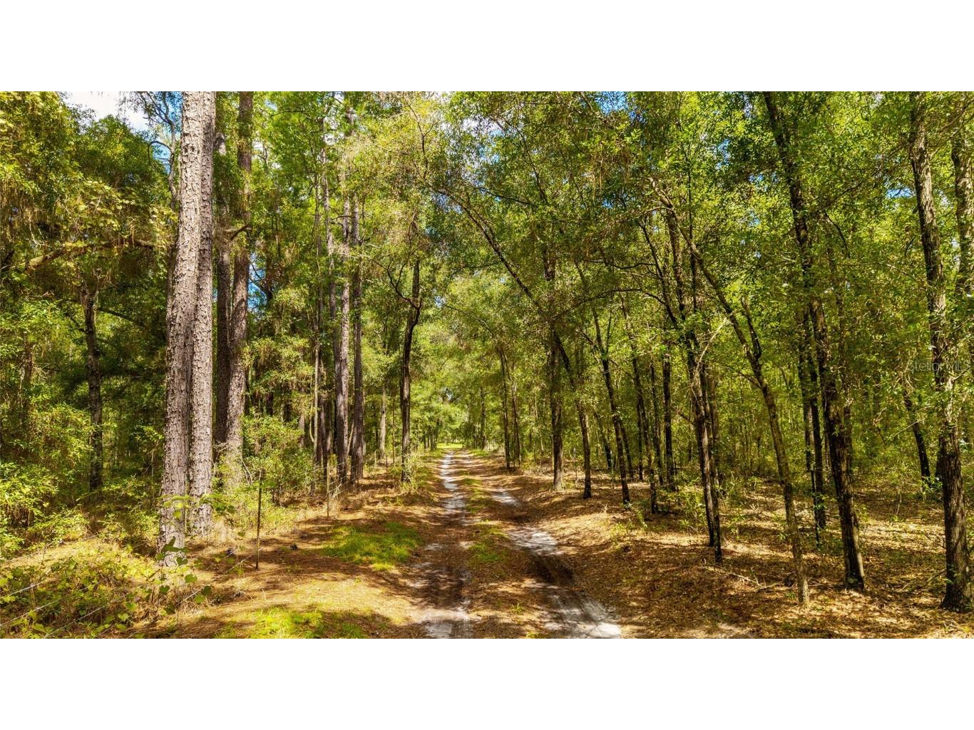 TBD SE 35th Street Morriston FL 32668 OM713980 image15