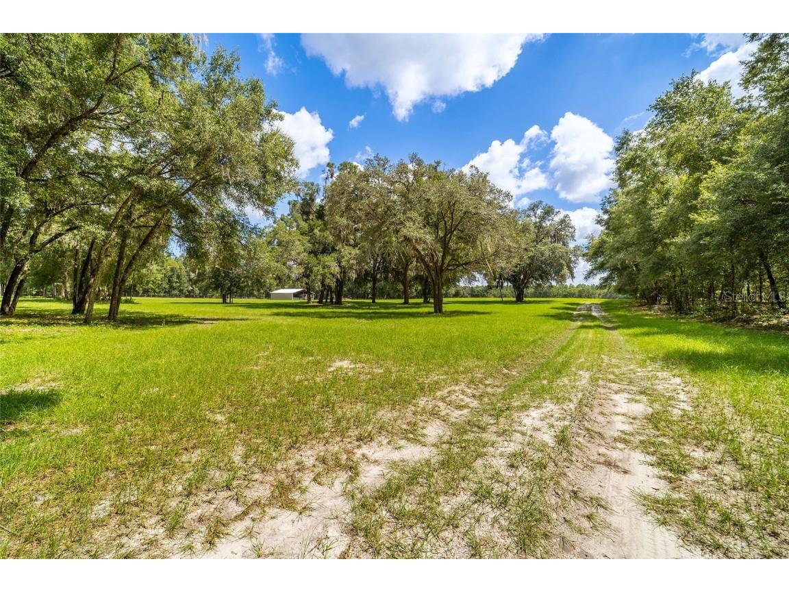 TBD SE 35th Street Morriston FL 32668 OM713980 image17