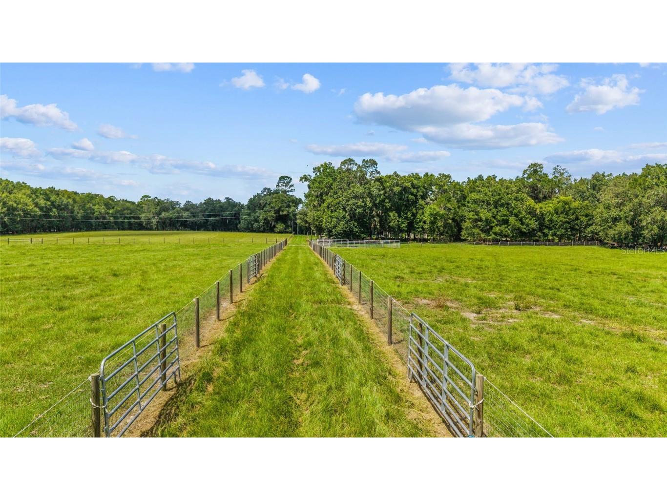 TBD SE 35th Street Morriston FL 32668 OM713980 image2