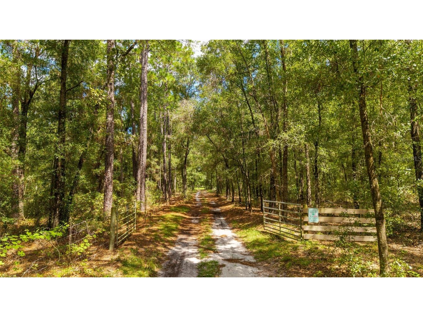 TBD SE 35th Street Morriston FL 32668 OM713980 image3