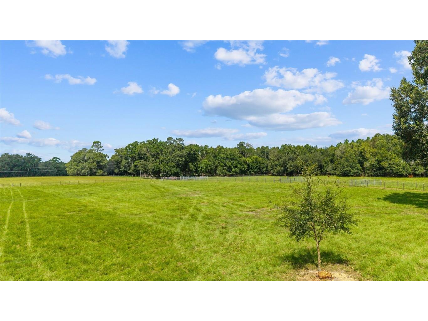 TBD SE 35th Street Morriston FL 32668 OM713980 image6