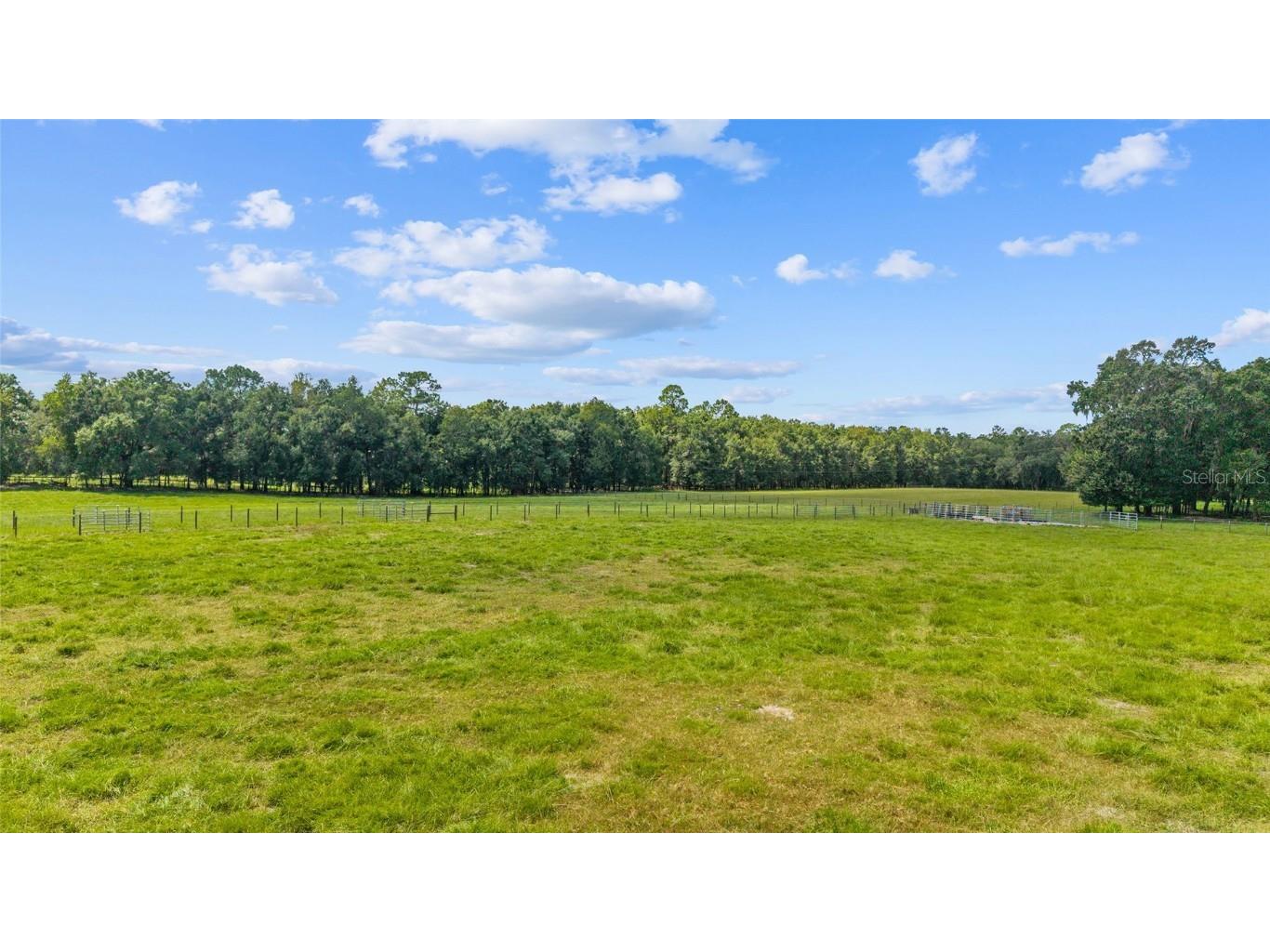 TBD SE 35th Street Morriston FL 32668 OM713980 image7