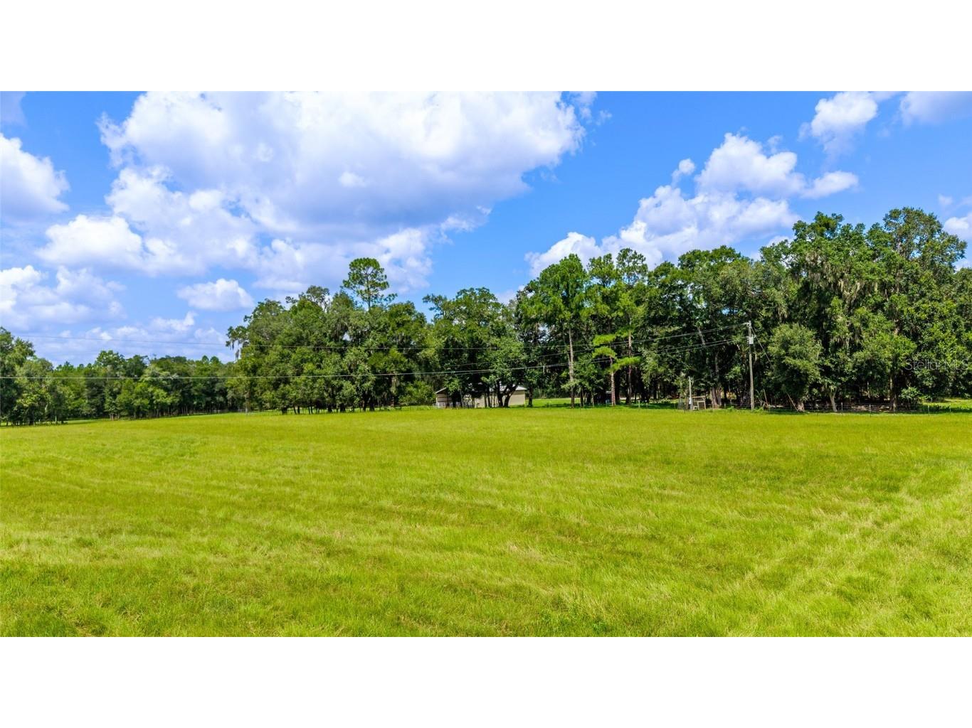 TBD SE 35th Street Morriston FL 32668 OM713980 image8