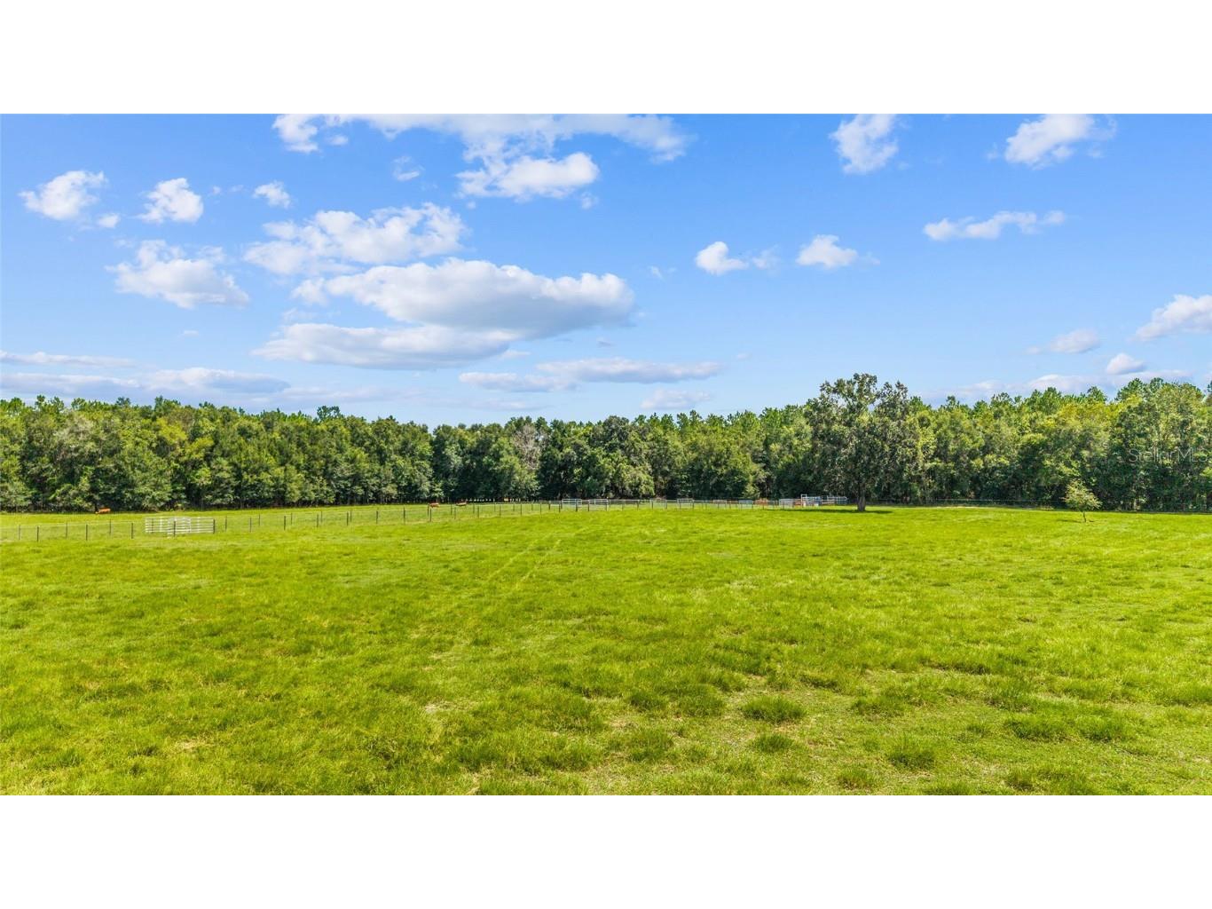 TBD SE 35th Street Morriston FL 32668 OM713980 image9