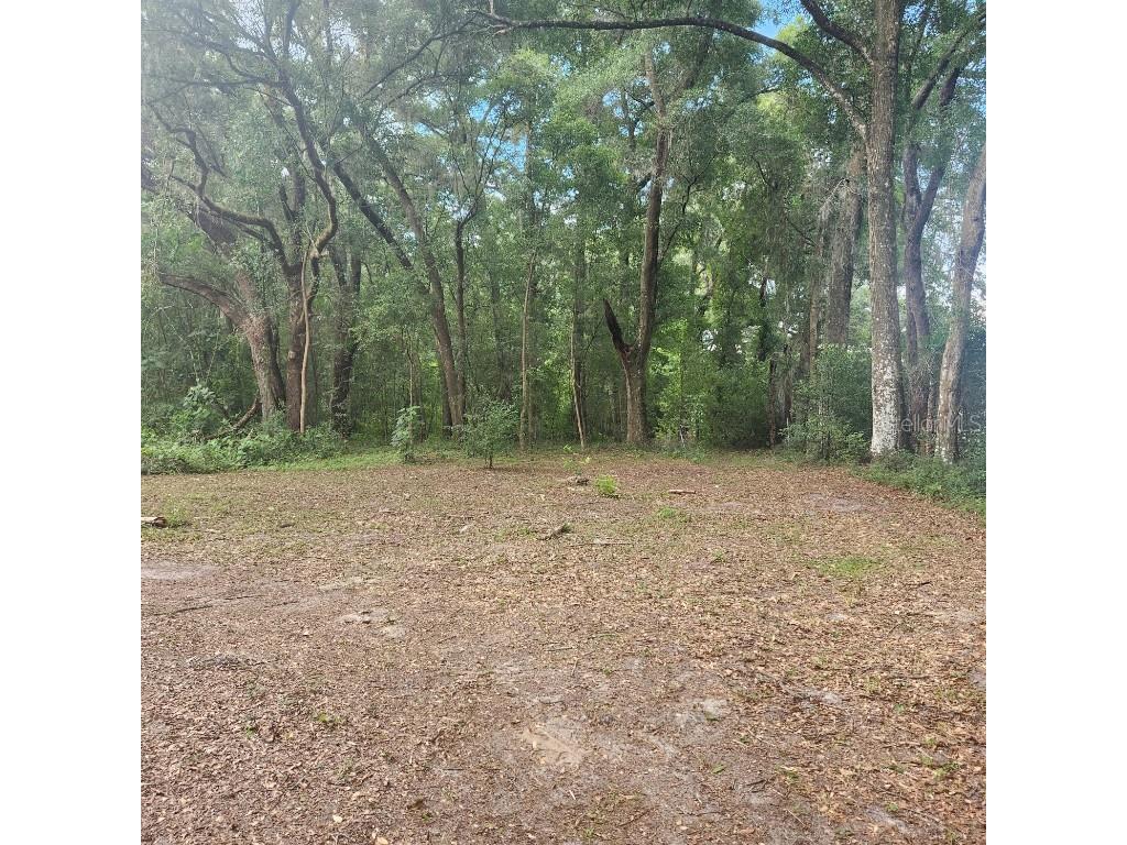TBD SE 36th Avenue Ocala FL 34480 OM682560 image1