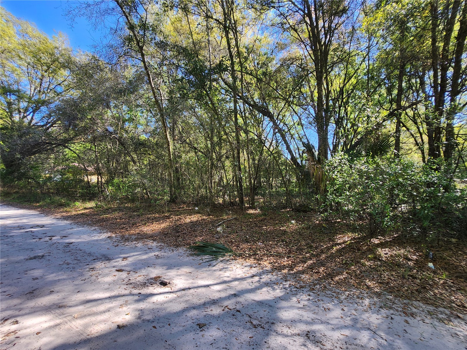 TBD SE 36th Court Summerfield FL 34491 OM721169 image3