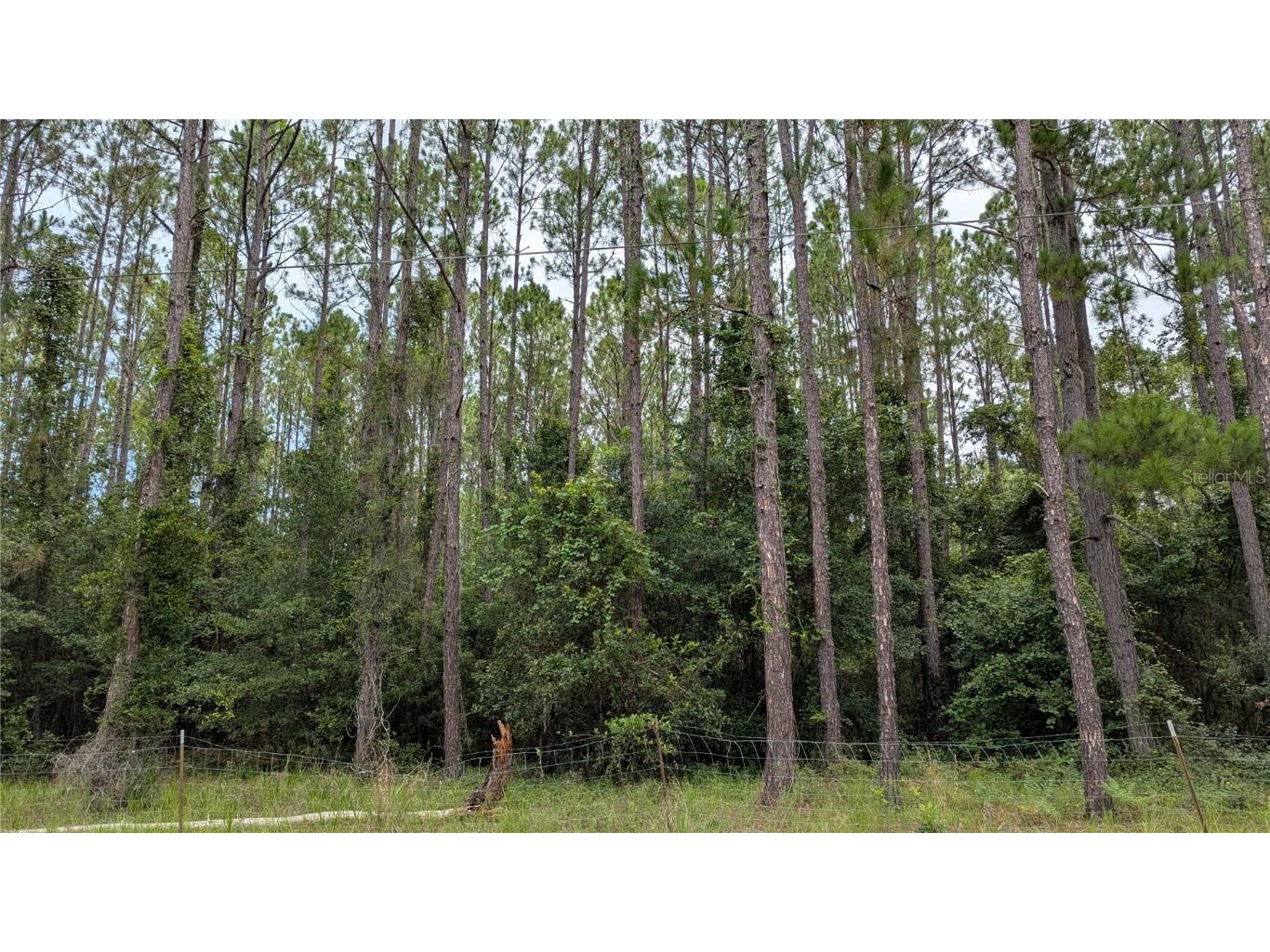 TBD SE 3rd Place Gainesville FL 32641 GC532819 image1