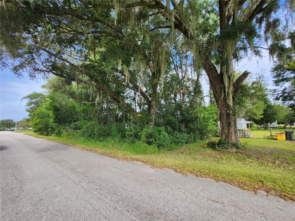 TBD SE 40 Court Summerfield FL 34491 OM710923 image1