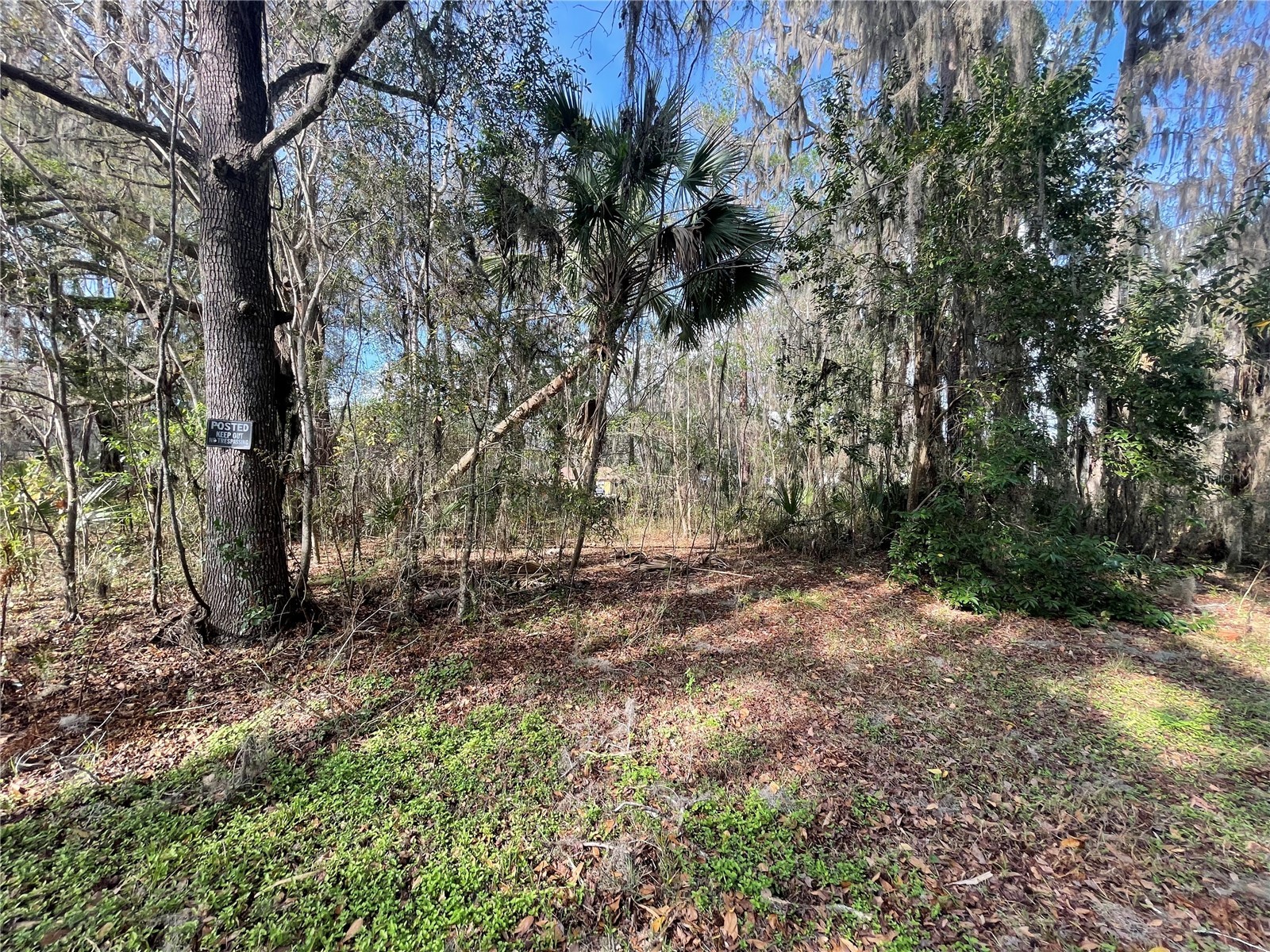 TBD SE 40th Loop Ocala FL 34480 OM720282 image1