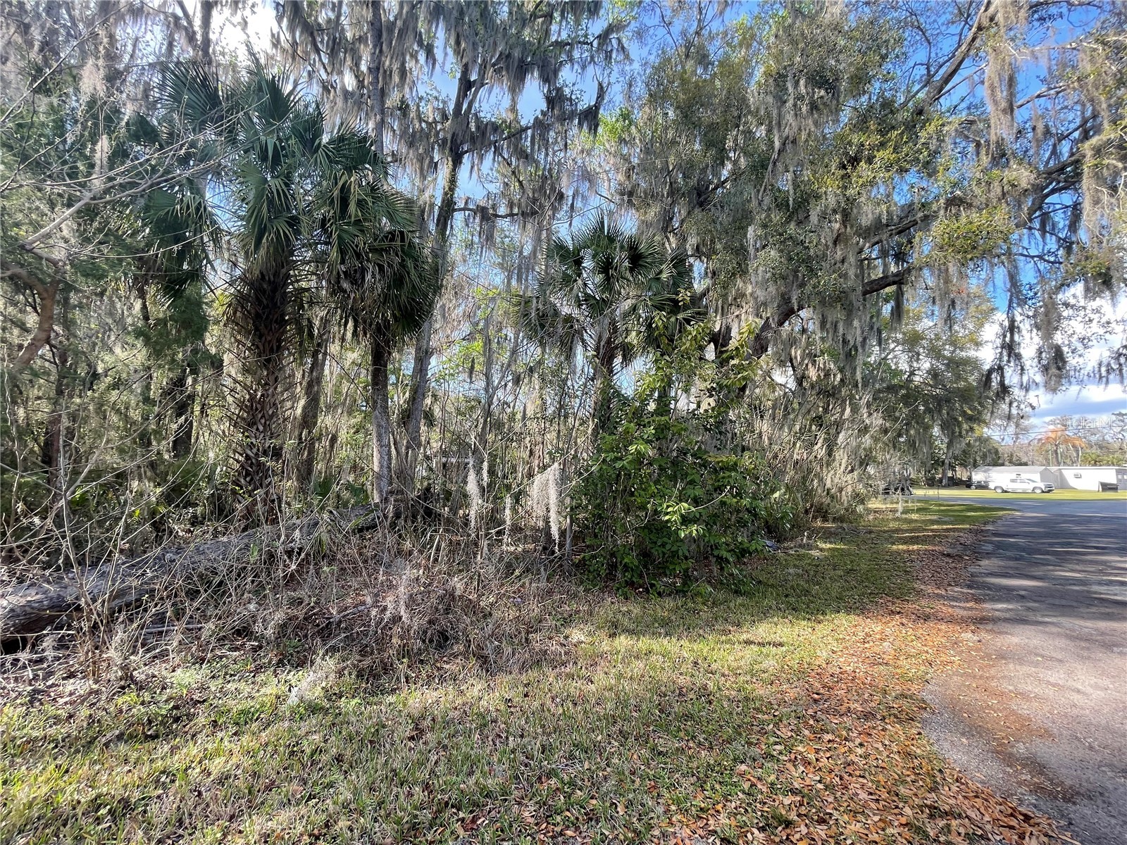 TBD SE 40th Loop Ocala FL 34480 OM720282 image2