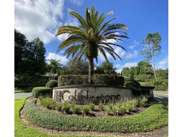 TBD SE 41st Avenue Belleview FL 34420 OM724521 image3