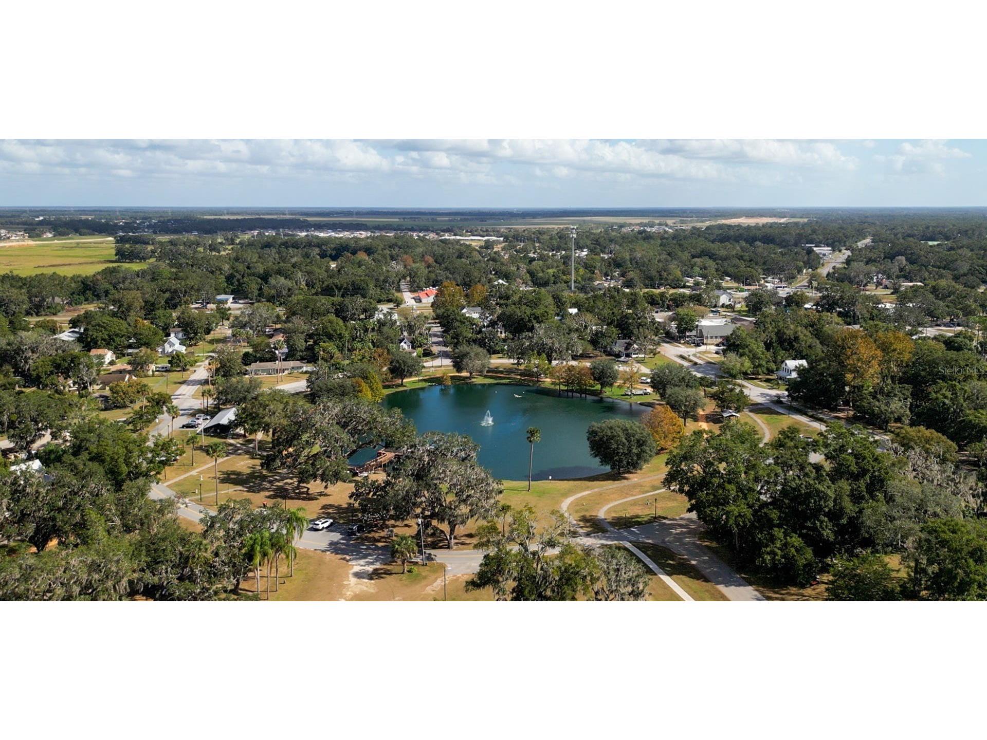 TBD SE 41st Avenue Belleview FL 34420 OM724521 image4