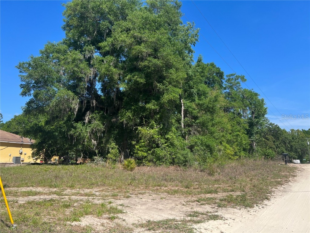 TBD SE 41st Court Summerfield FL 34491 OM655663 image1