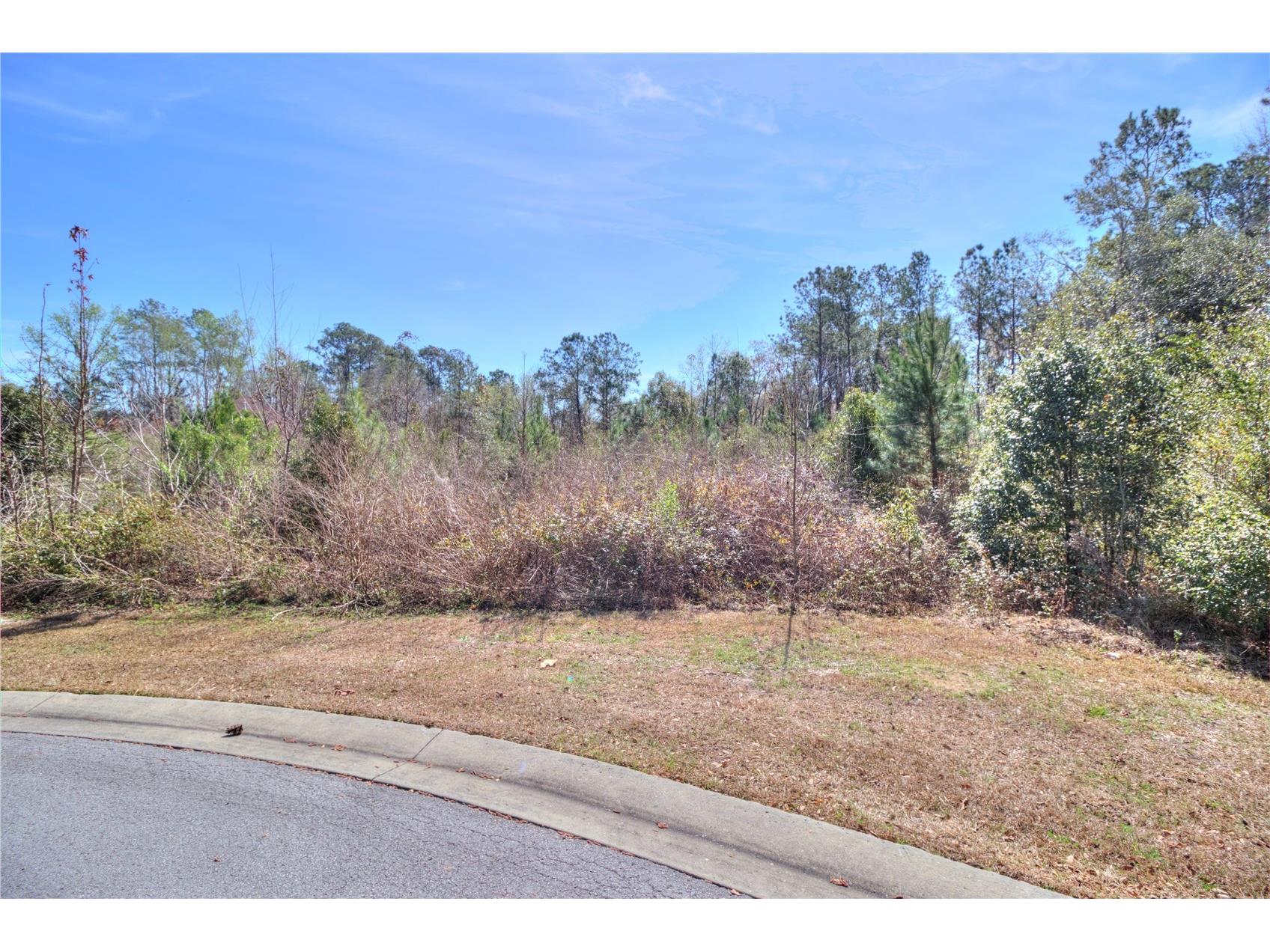 TBD SE 41st Street SE Ocala FL 34480 OM719915 image1
