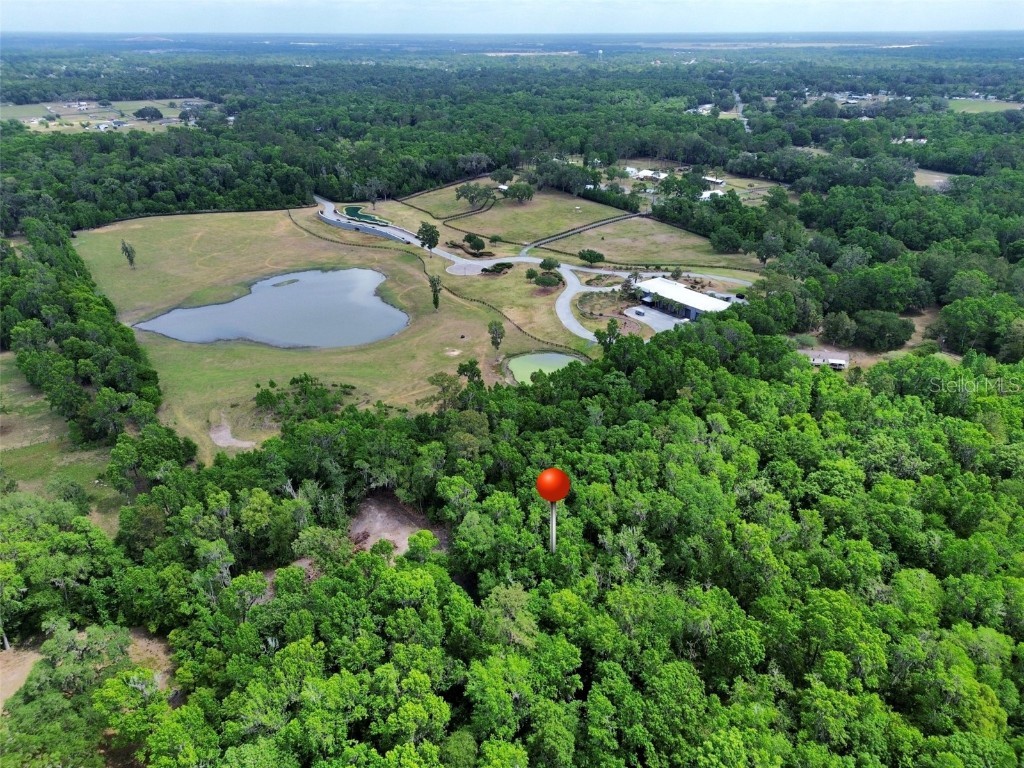 TBD SE 41st Terrace Belleview FL 34420 OM700233 image3