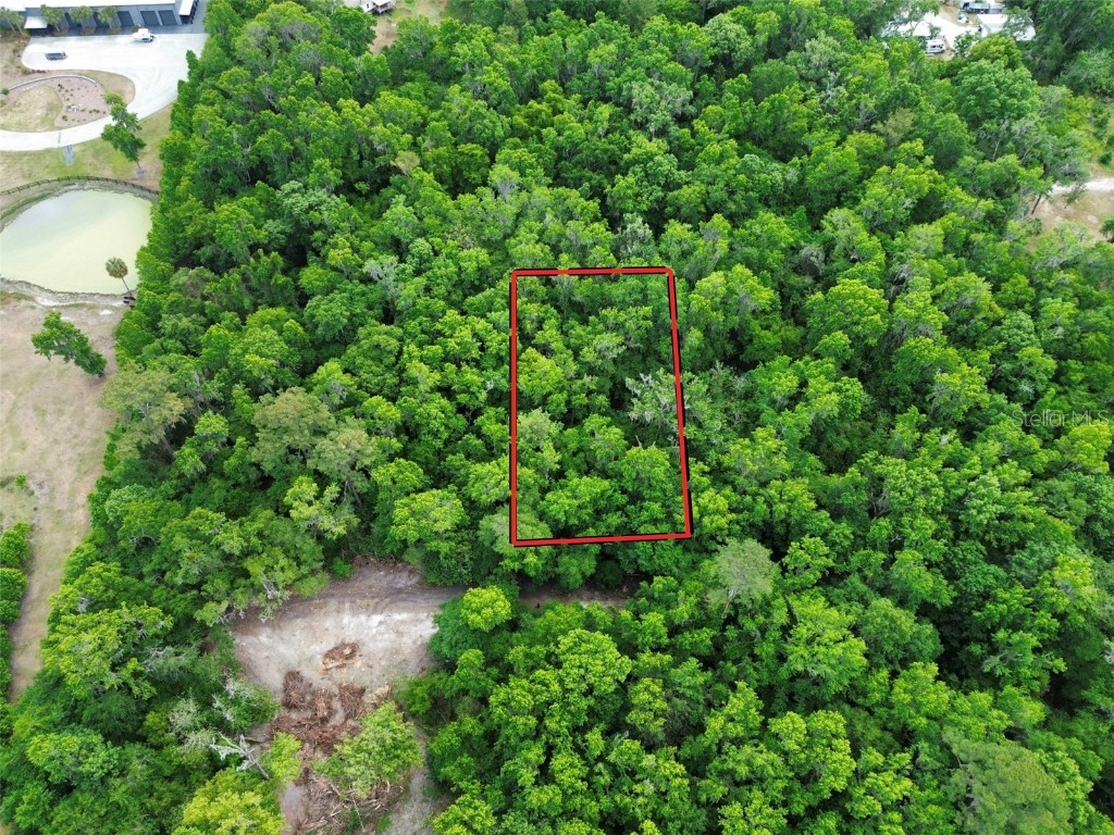 TBD SE 41st Terrace Belleview FL 34420 OM700233 image4