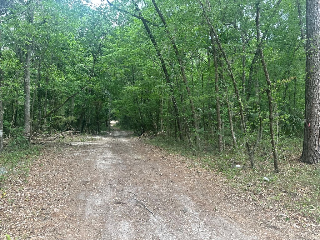 TBD SE 41st Terrace Belleview FL 34420 OM700233 image5