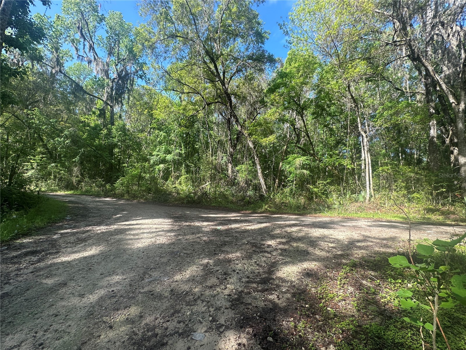 TBD SE 41st Terrace Belleview FL 34420 OM720847 image3