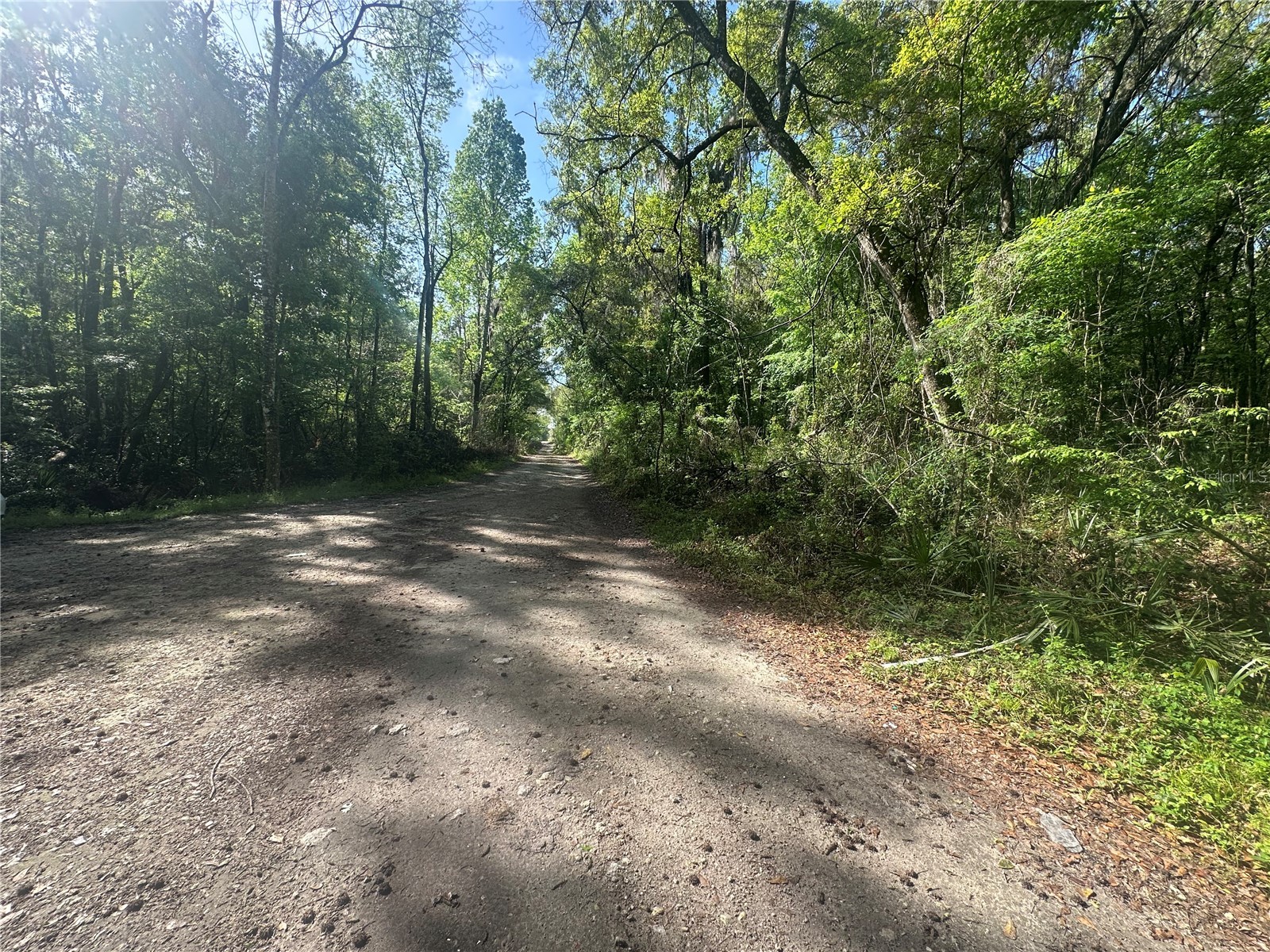 TBD SE 41st Terrace Belleview FL 34420 OM720847 image4
