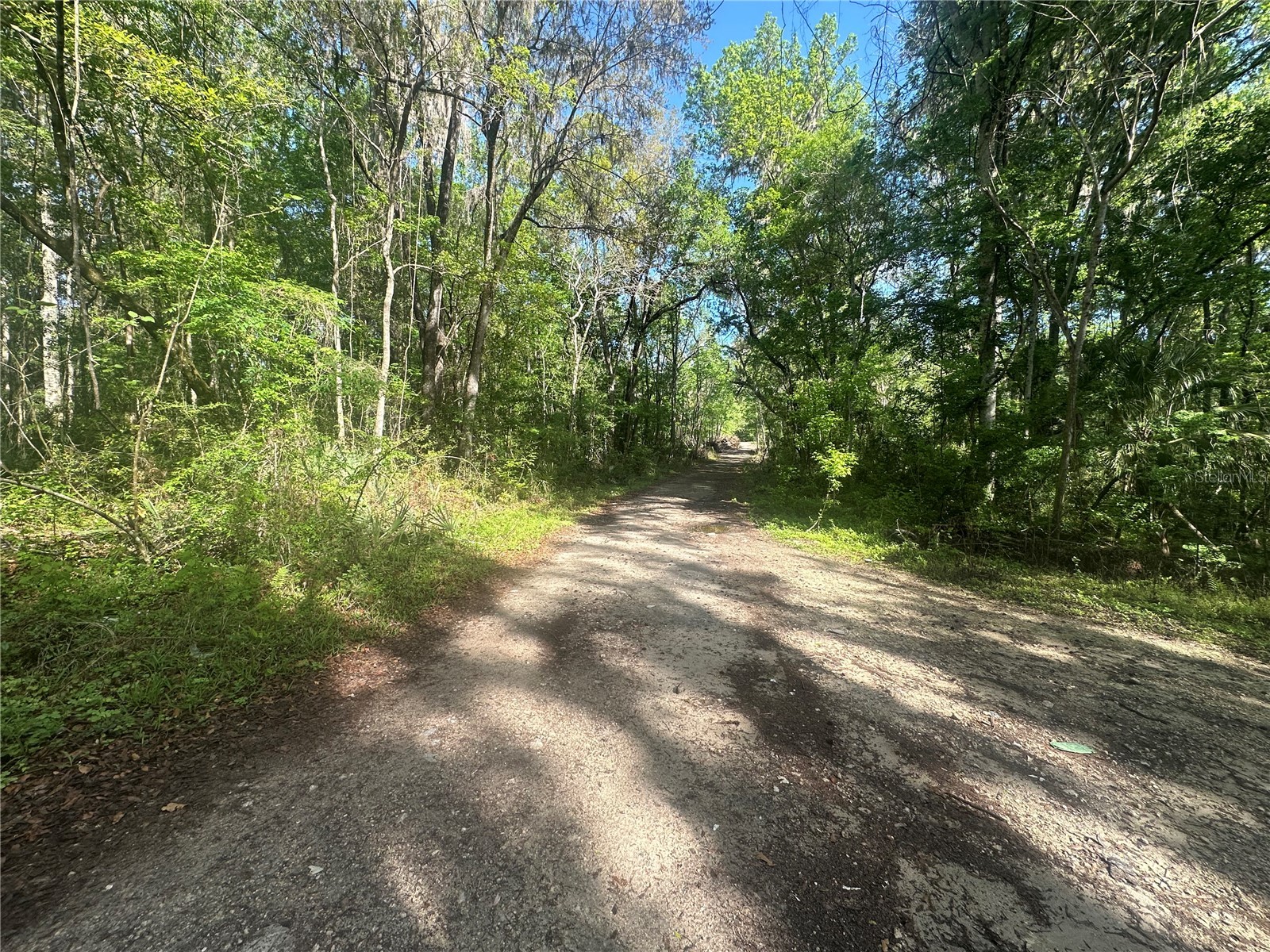 TBD SE 41st Terrace Belleview FL 34420 OM720847 image5