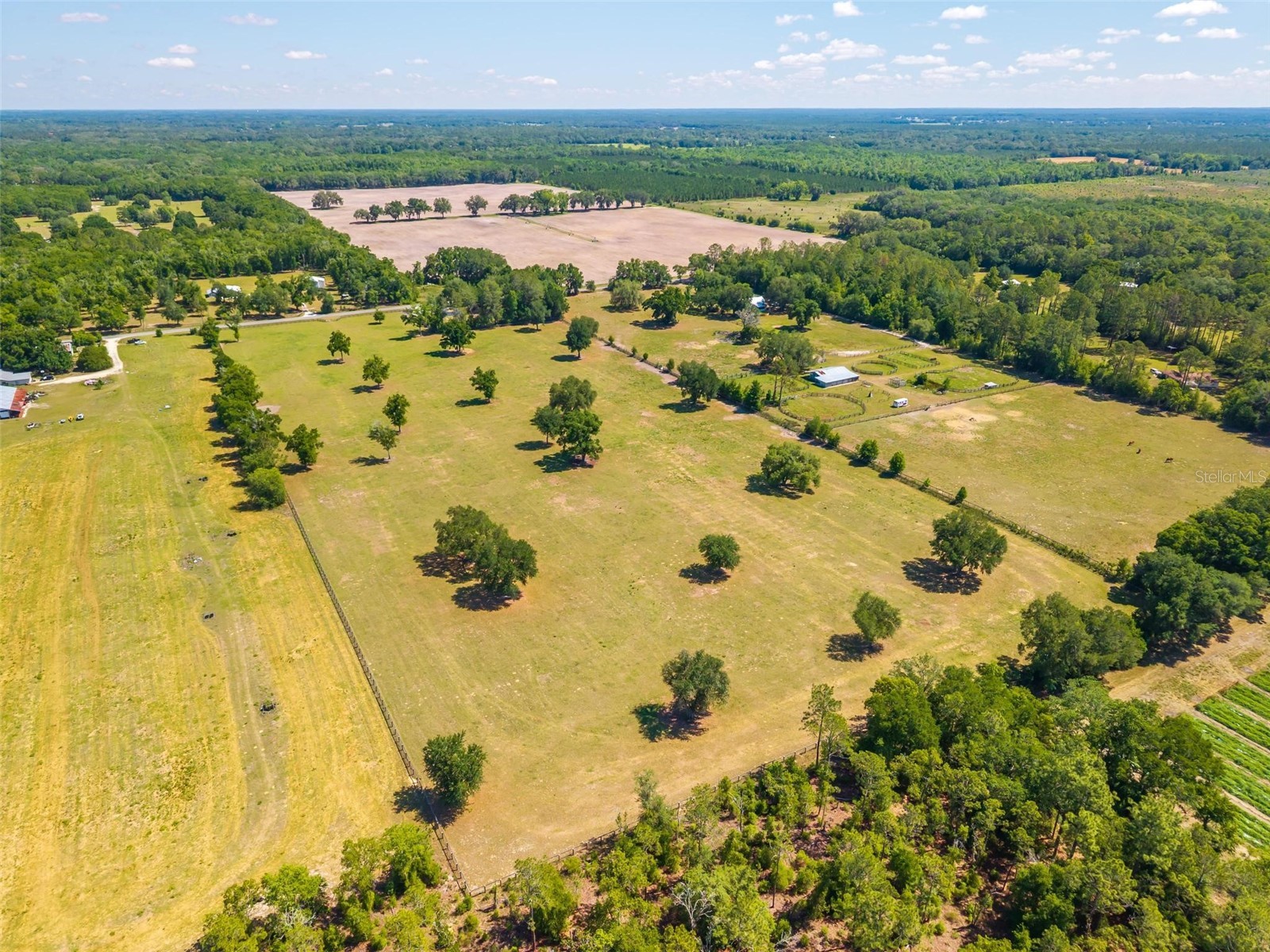 TBD SE 42nd Place Morriston FL 32668 OM724049 image10