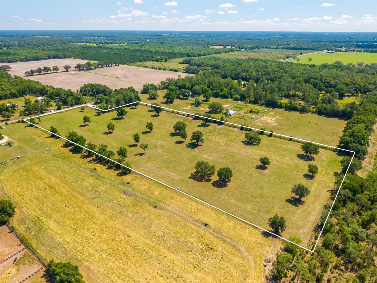 TBD SE 42nd Place Morriston FL 32668 OM724049 image12