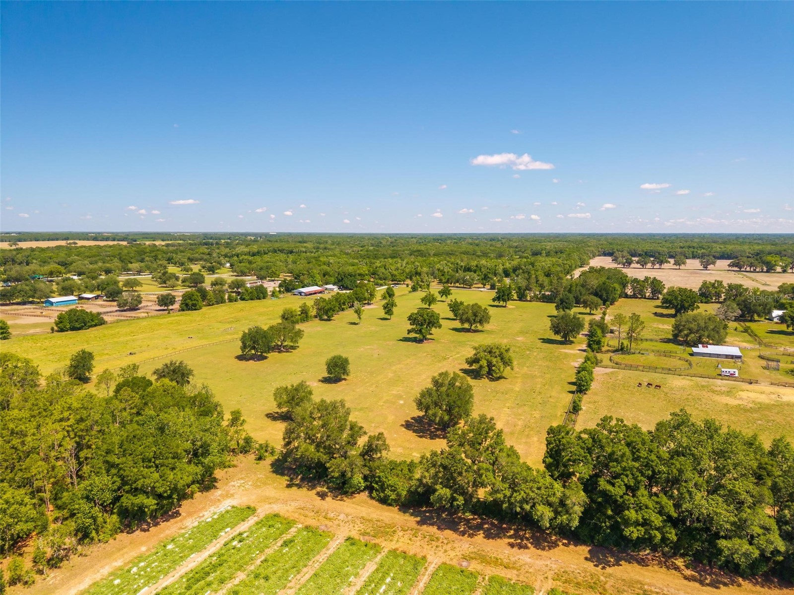TBD SE 42nd Place Morriston FL 32668 OM724049 image18