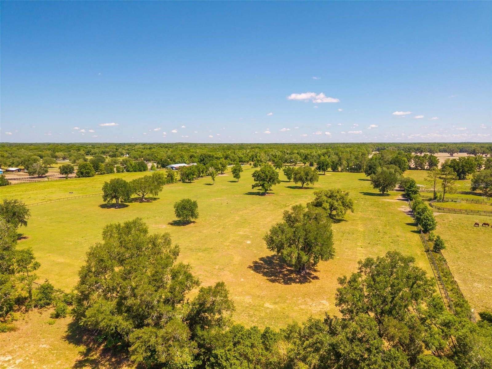 TBD SE 42nd Place Morriston FL 32668 OM724049 image19