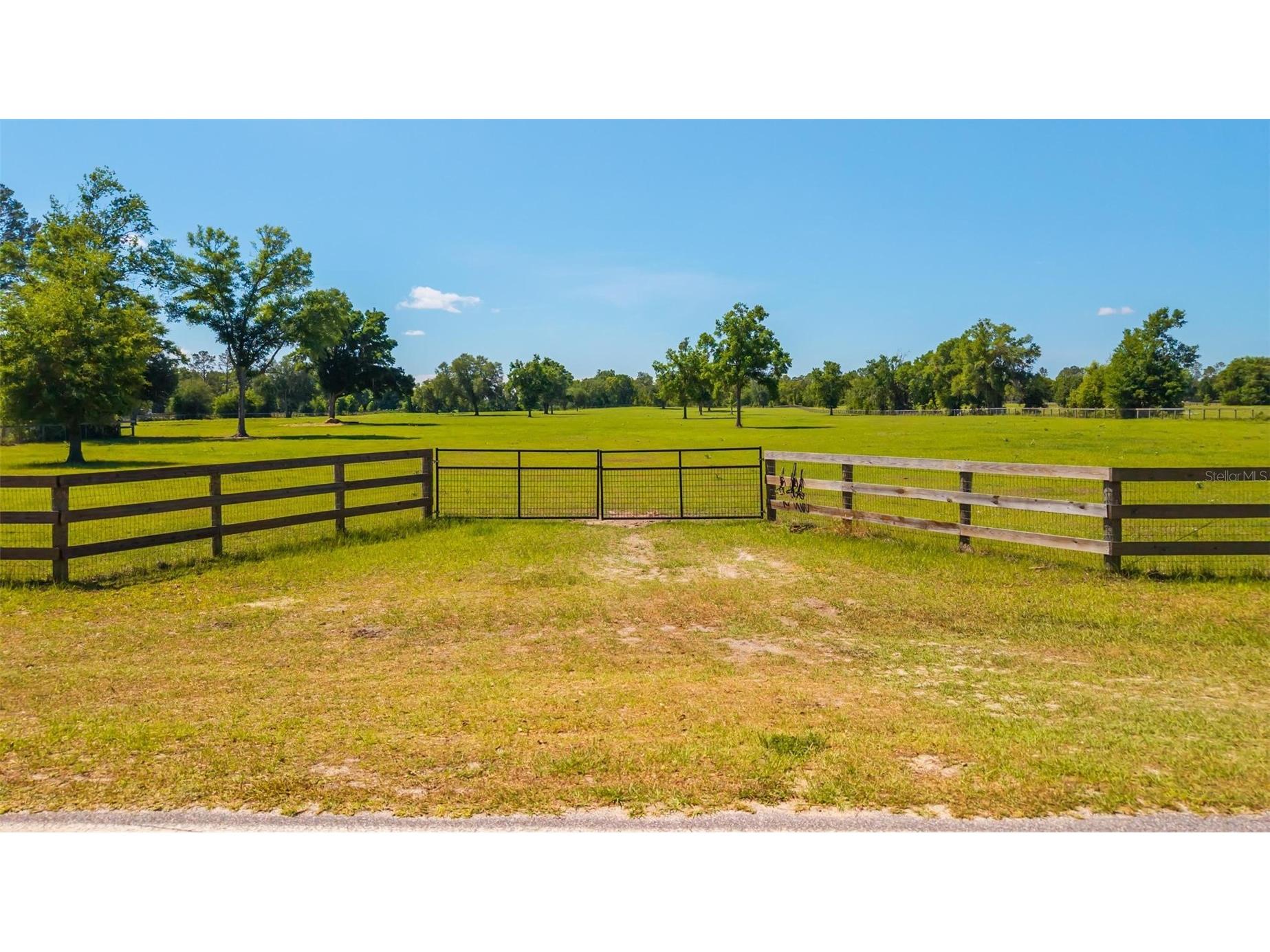 TBD SE 42nd Place Morriston FL 32668 OM724049 image3